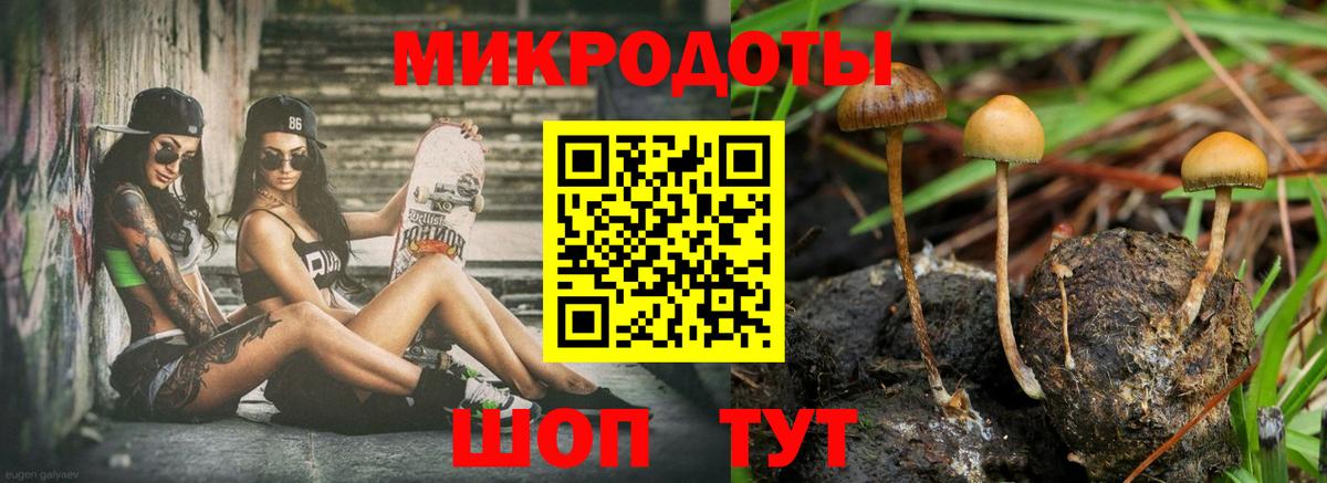Галлюциногенные грибы ЛСД Киселёвск